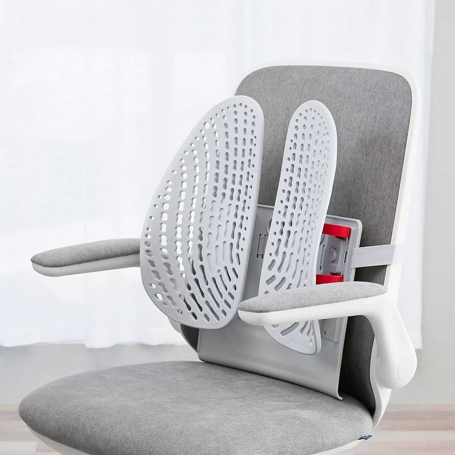 Lumbar Support for Office Chairs and How to Strengthen Your Back