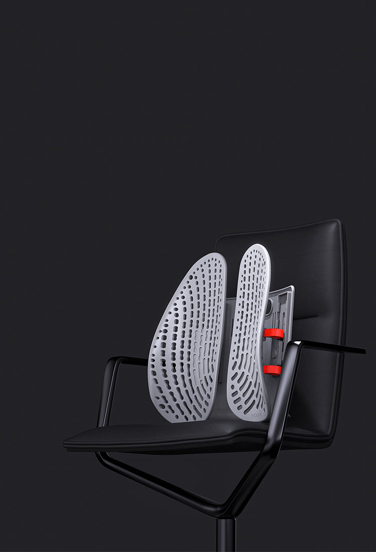 Leband Ergonomic Adjustable Backrest for Office Chair