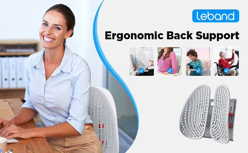 Leband Ergonomic Adjustable Backrest for Office Chair