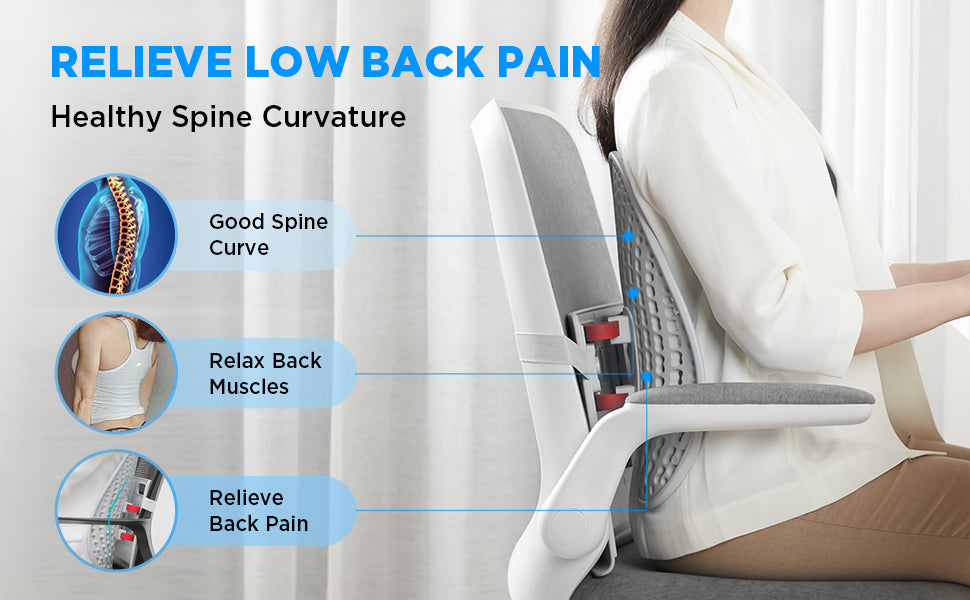 Correct Back Posture While Sitting ( Recommended For Back Pain Makes Every  Chair Ergonomic Lumbar Support, Adjustable Straps) Qrp