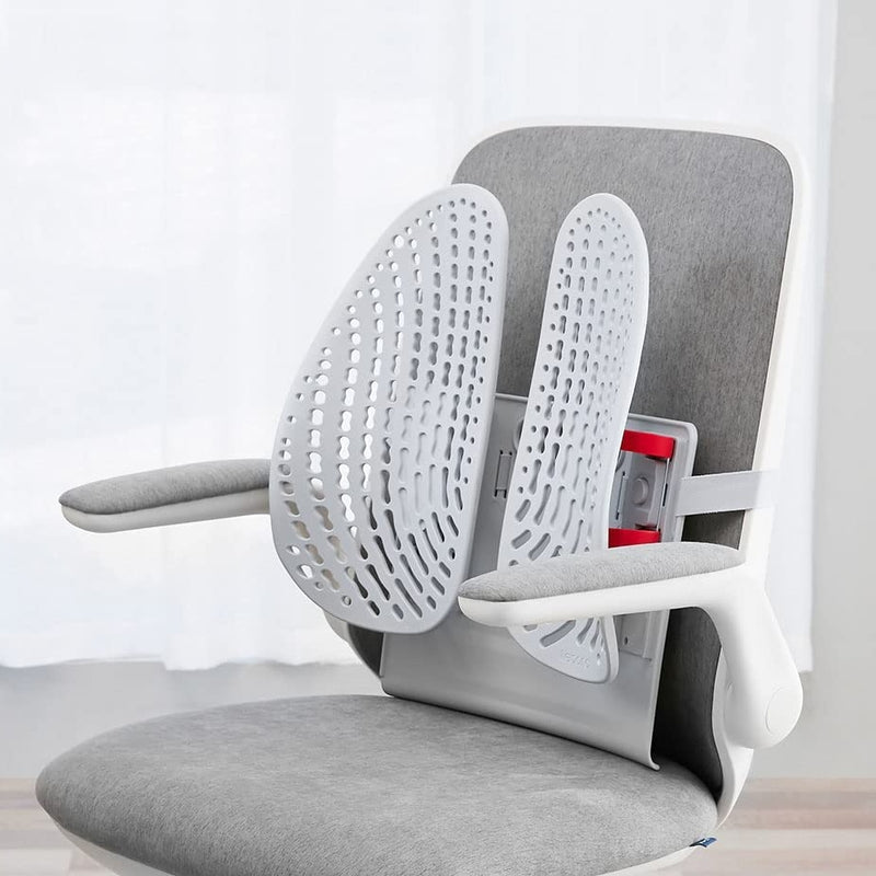 Aaron Living Ergonomic Office Chair Back Lumbar Support